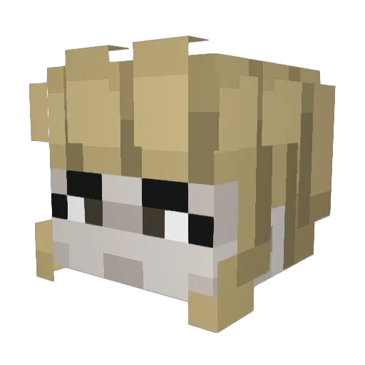 BeastGamer0823 Minecraft avatar head, 3D render