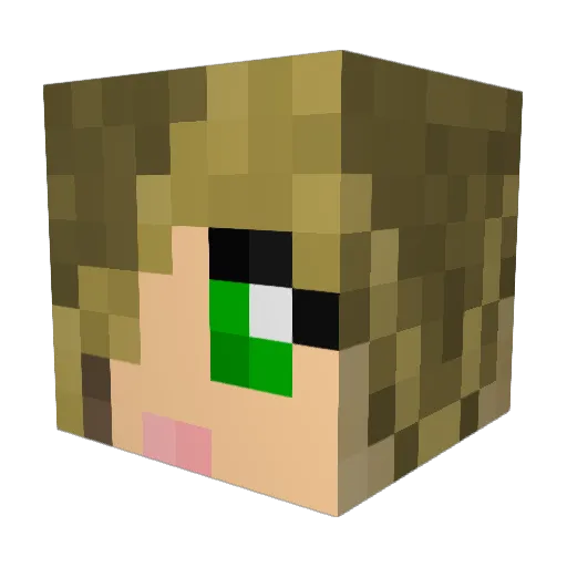 BeastHunter3454 Minecraft avatar head, 3D render