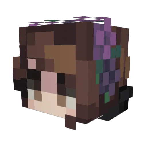 BeastHunterA Minecraft avatar head, 3D render