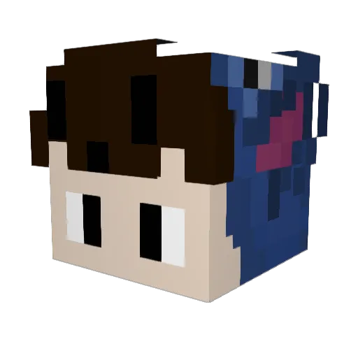 Beast_Node Minecraft avatar head, 3D render