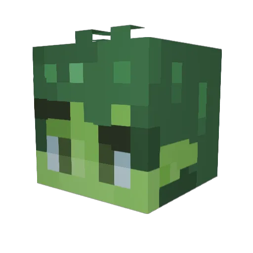 Beastboygames Minecraft avatar head, 3D render