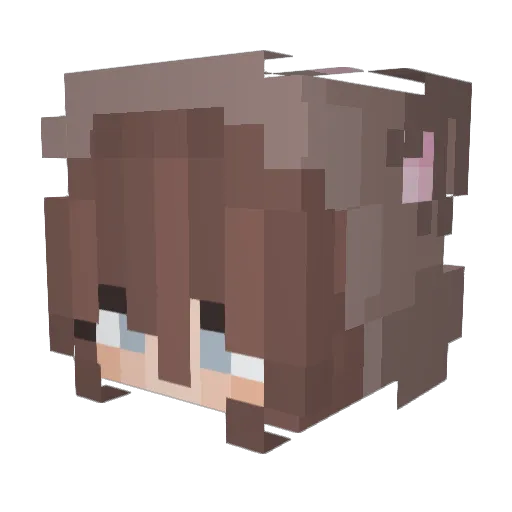BeastlyBear Minecraft avatar head, 3D render