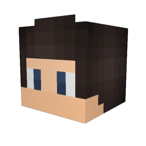 Beastlycats102 Minecraft avatar head, 3D render