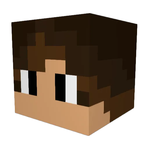 BeastyBadger41 Minecraft avatar head, 3D render