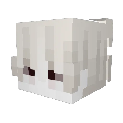 BeatBaracke1 Minecraft avatar head, 3D render