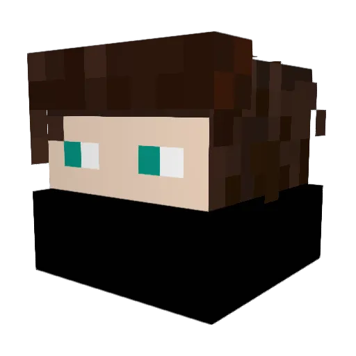 Beat_Bird21 Minecraft avatar head, 3D render