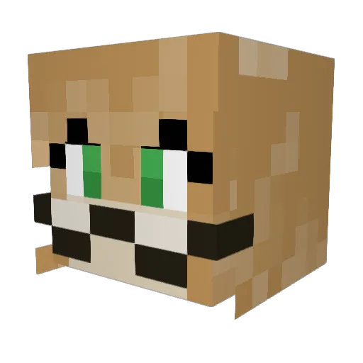 BeatriceWilkins Minecraft avatar head, 3D render