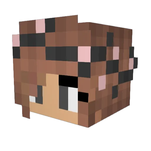 Beau_jangles14 Minecraft avatar head, 3D render