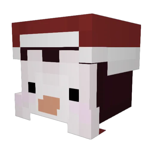 Beaugest41 Minecraft avatar head, 3D render