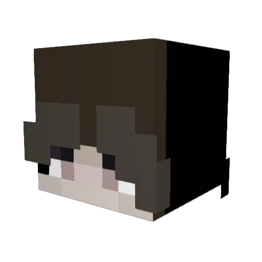 Beaushangles Minecraft avatar head, 3D render