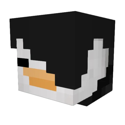 BeautifulBabyBoy Minecraft avatar head, 3D render