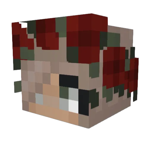 BeautjeOsinga Minecraft avatar head, 3D render
