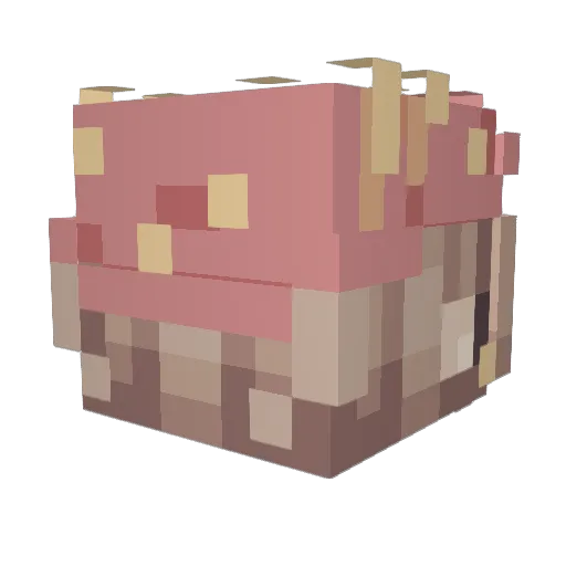 BeautyNtheBeast Minecraft avatar head, 3D render
