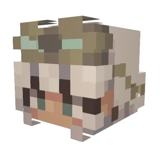 Beauwie Minecraft avatar head, 3D render