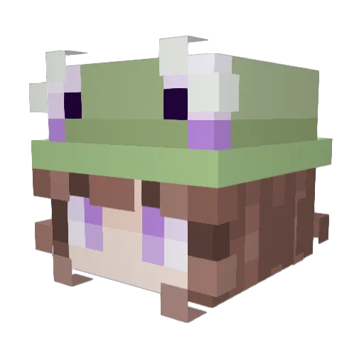 Beauxterham Minecraft avatar head, 3D render