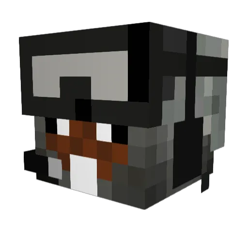 Beaver202 Minecraft avatar head, 3D render