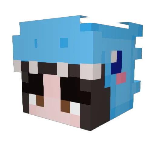 Beaver_lol Minecraft avatar head, 3D render