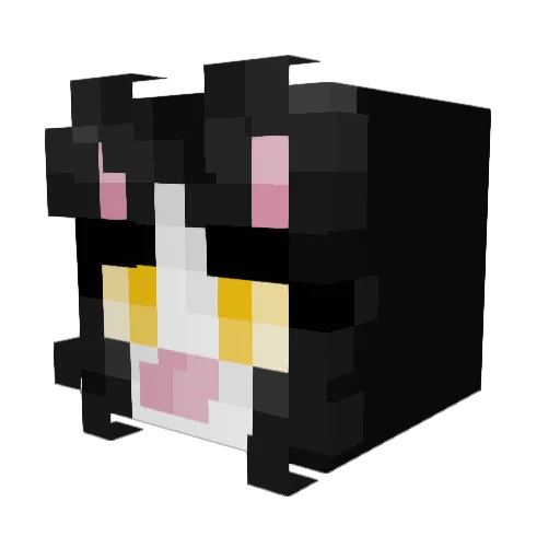 BebXwX Minecraft avatar head, 3D render