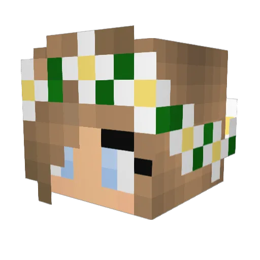 Bebe0103 Minecraft avatar head, 3D render