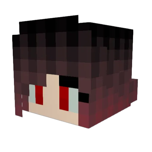 Bebe981 Minecraft avatar head, 3D render