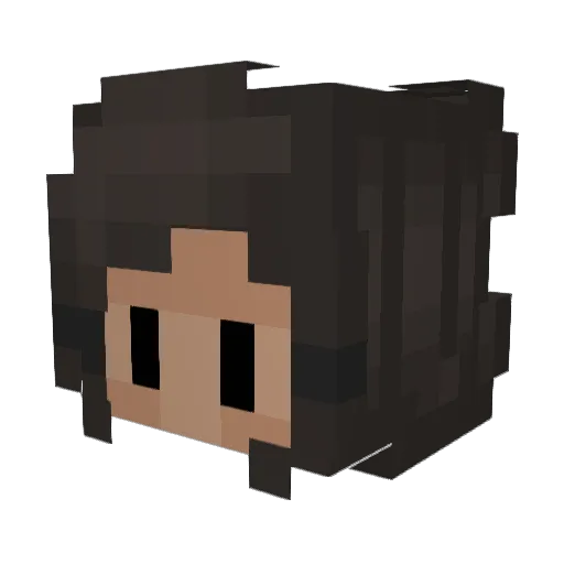 BebeSketch Minecraft avatar head, 3D render