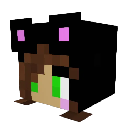 Bebekitten69 Minecraft avatar head, 3D render