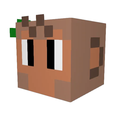 Bebibooo Minecraft avatar head, 3D render