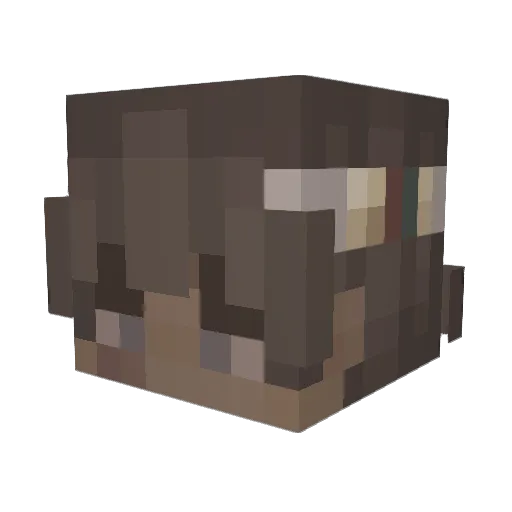 Bebitsu Minecraft avatar head, 3D render