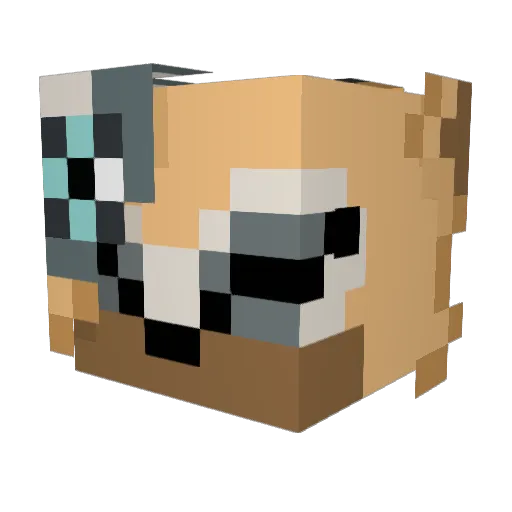 Bebobit Minecraft avatar head, 3D render