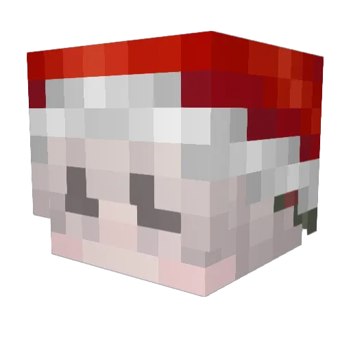 Bebop152 Minecraft avatar head, 3D render