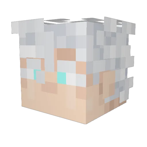 Bebop422 Minecraft avatar head, 3D render