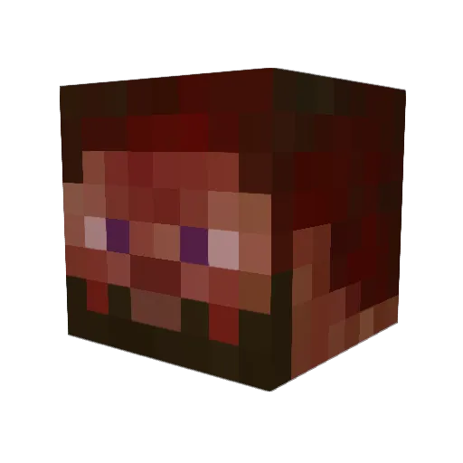 Bebopadonk Minecraft avatar head, 3D render