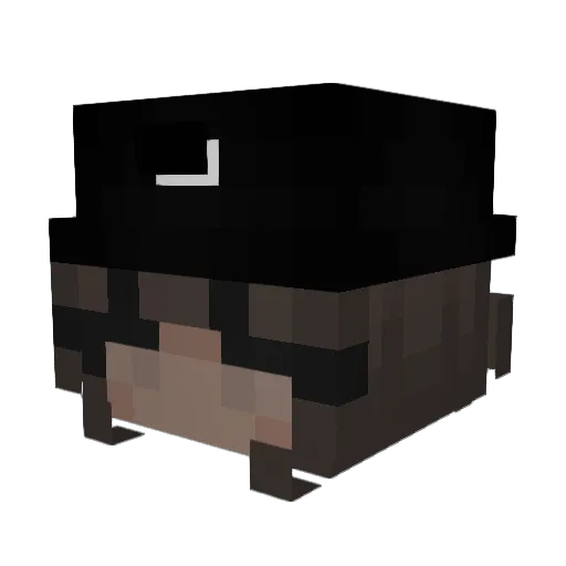 Bebou495 Minecraft avatar head, 3D render