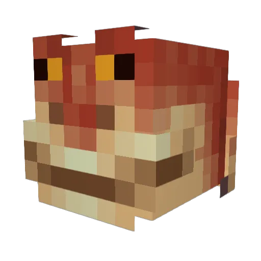 Bebraham Minecraft avatar head, 3D render