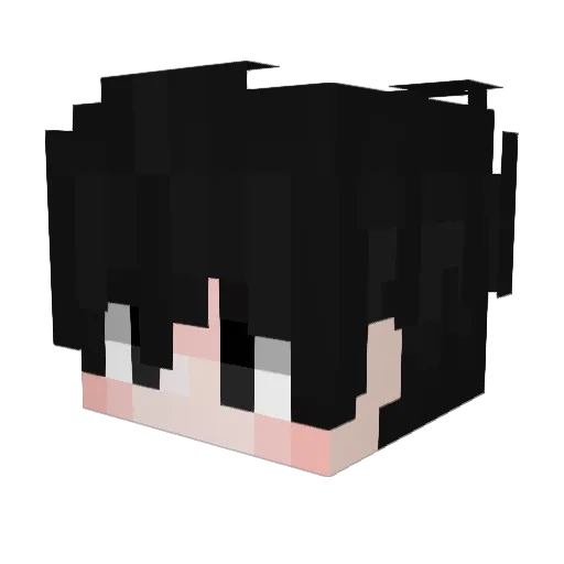 Bebula1048 Minecraft avatar head, 3D render
