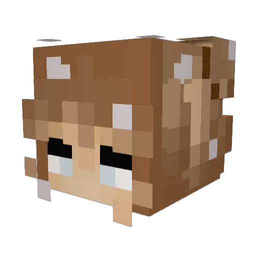 Bebus97 Minecraft avatar head, 3D render