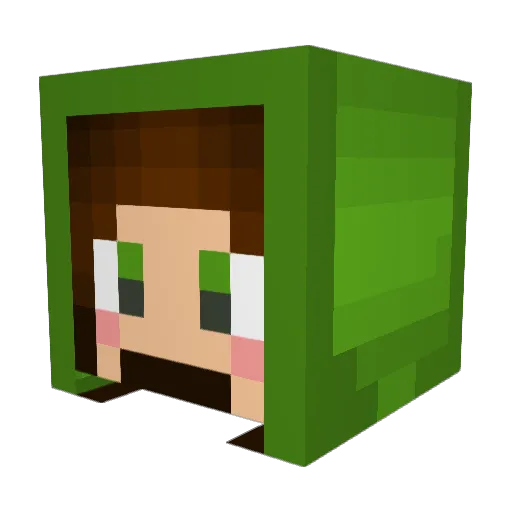 Becca73 Minecraft avatar head, 3D render
