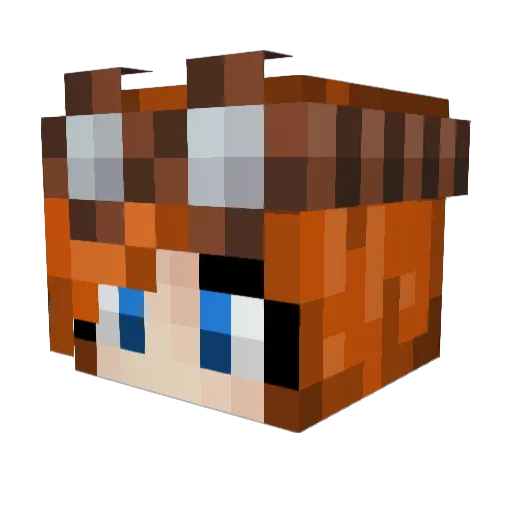 BeccaBoo143 Minecraft avatar head, 3D render