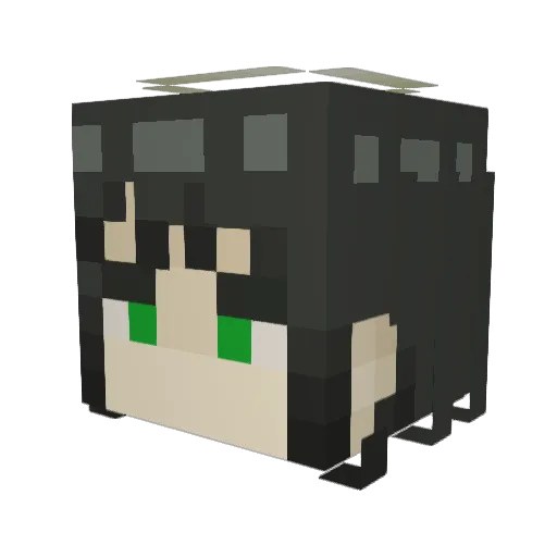 BeccaCard Minecraft avatar head, 3D render