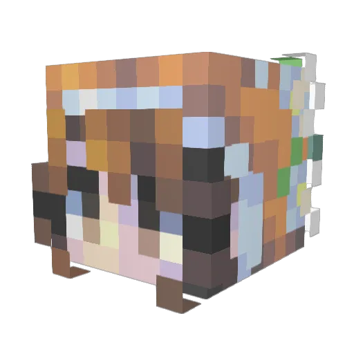 Beccerz Minecraft avatar head, 3D render