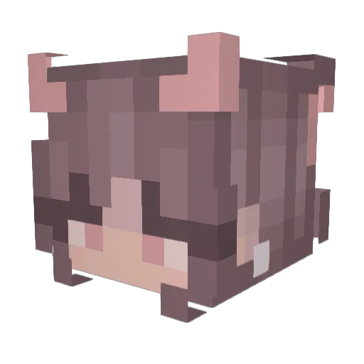 Becho25 Minecraft avatar head, 3D render