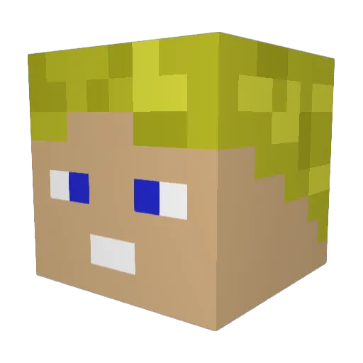 Beck1205 Minecraft avatar head, 3D render