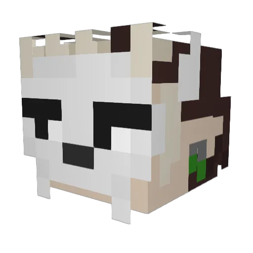 Beck_Lolz Minecraft avatar head, 3D render