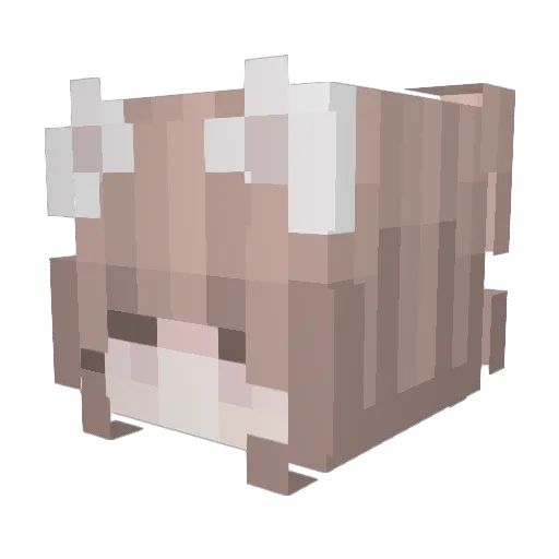 Beckhamtr Minecraft avatar head, 3D render