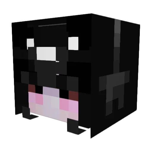 Becksterooney Minecraft avatar head, 3D render