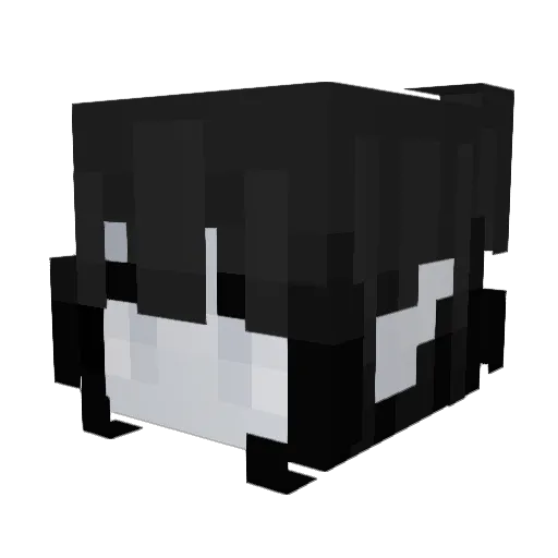 Becksy00 Minecraft avatar head, 3D render