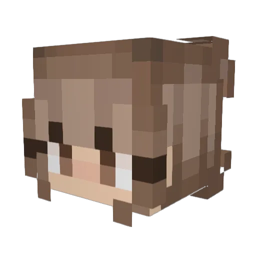 BeckyKoekkoek Minecraft avatar head, 3D render