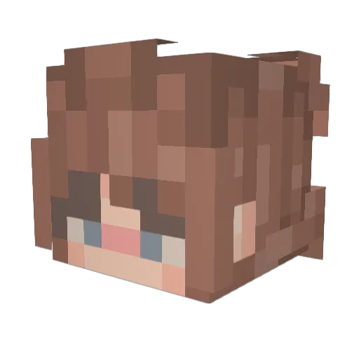Becsbee78 Minecraft avatar head, 3D render