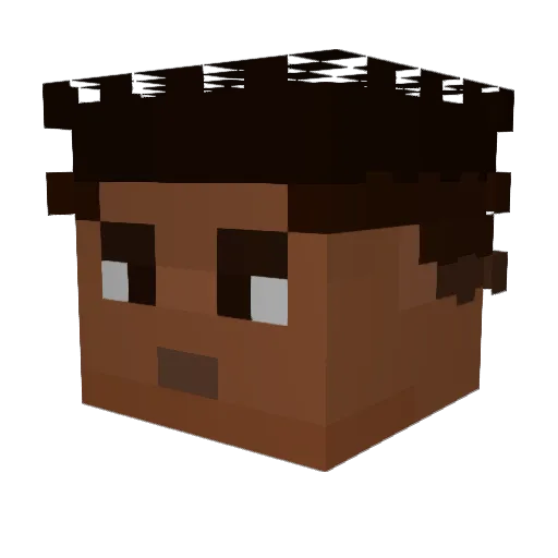 Beczka_bo Minecraft avatar head, 3D render