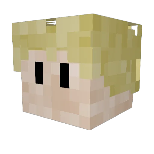 Bedi_420 Minecraft avatar head, 3D render